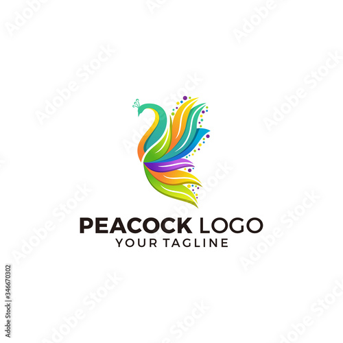 Peacock Logo Design Vector Illustration