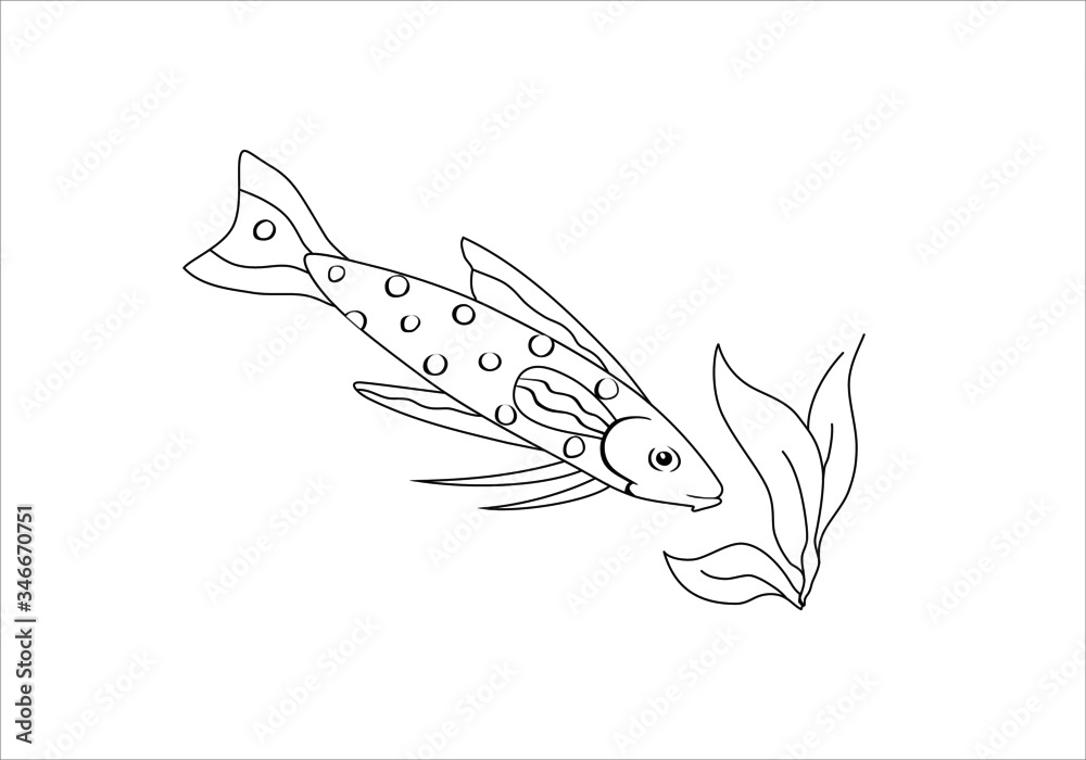 Exotic fish vector illustration isolated on white background. Tatia. Exotic fish vector illustration isolated on white background. Tatia.
