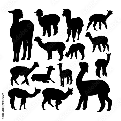 Alpaca animal silhouettes. Good use for symbol, logo, web icon, mascot, sign, or any design you want.