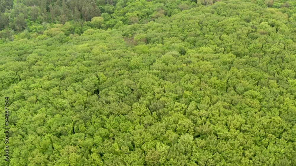 Flying over the green and yellow trees. Landscape autumn forest.
Flying over the green and yellow trees. Landscape autumn forest.