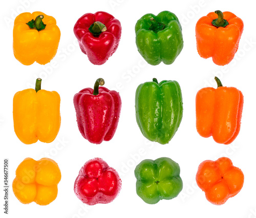 Yellow, red, green and orange bell peppers arranged in rows with water drops, front, side and back view. Organic fresh vegetables, isolated on white background