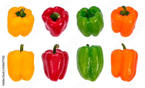 Yellow, red, green and orange sweet bell peppers with water drops, arranged in rows, top and side view. Organic fresh vegetables, isolated on white background
