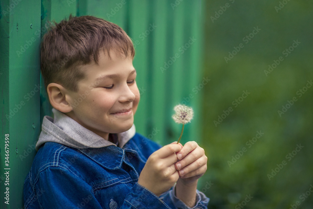 little boy in hands dandelion background green. little boy in hands dandelion background green.