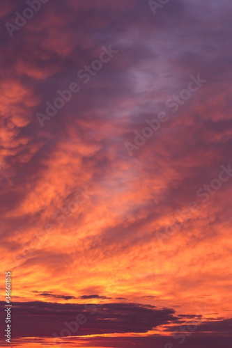 Dramatic sunrise, sunset pink violet orange sky with clouds background texture 