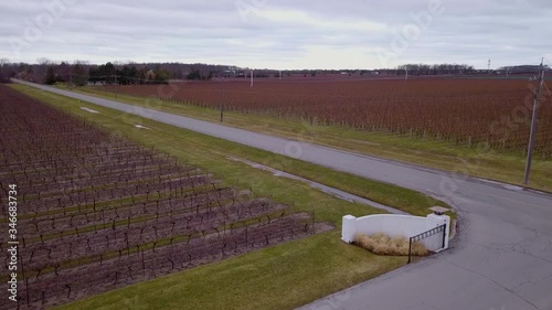 Aerial over a wine country vineyard in late winter. photo