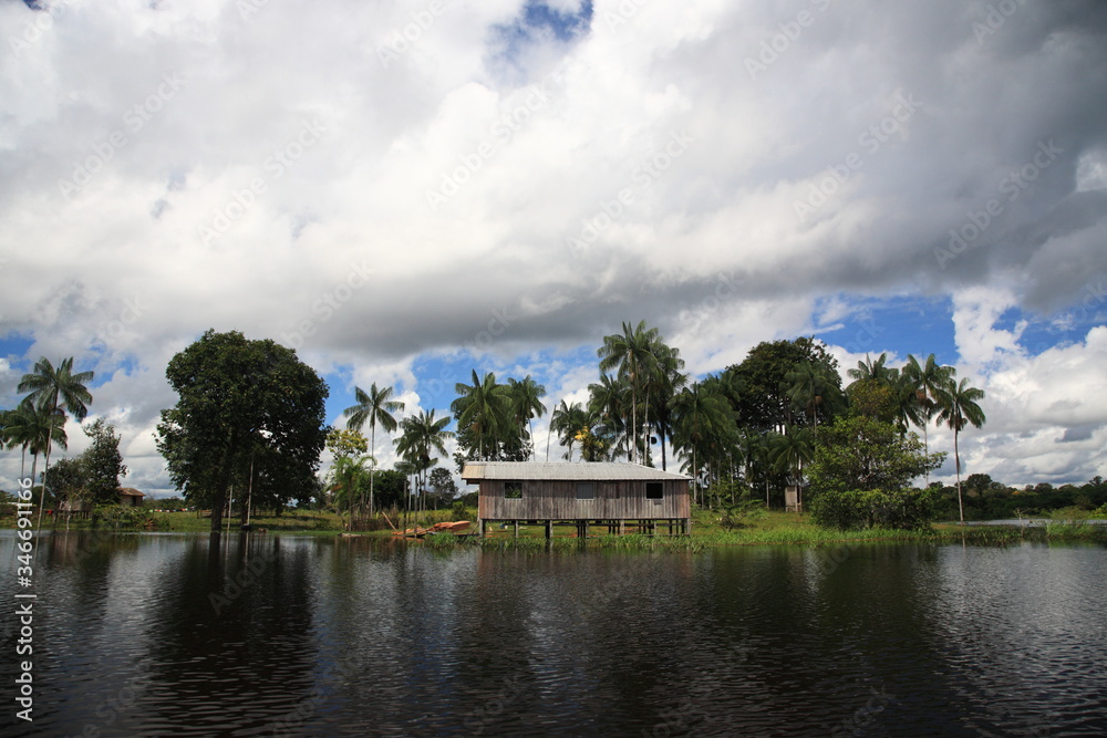 landscape of Amazon jungle river with floating house and coconut palm tree in Brazil 