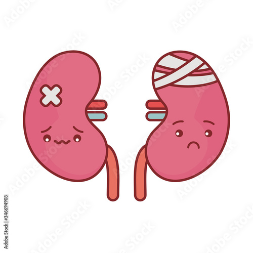 kidneys cartoon flat style icon vector design