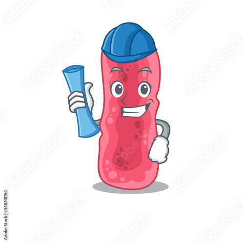 Cartoon character of shigella sonnei brainy Architect with blue prints and blue helmet