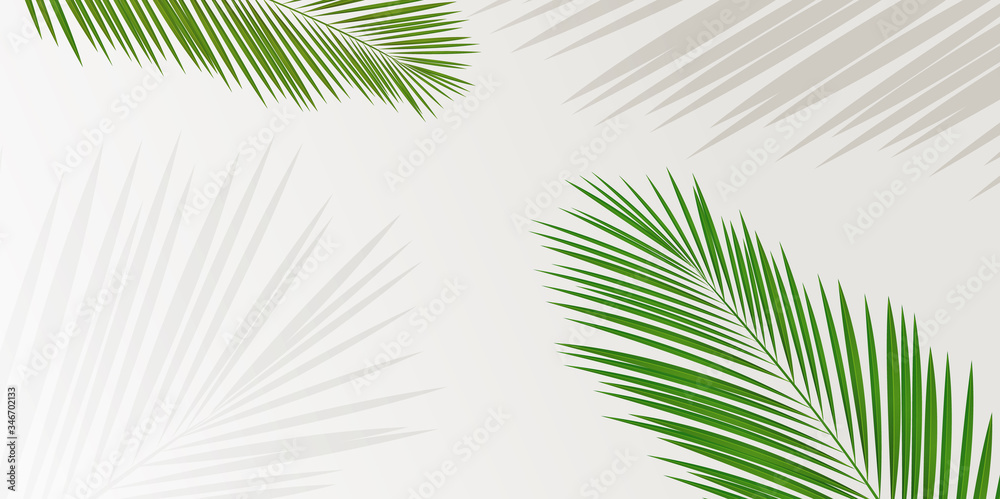 Obraz premium ヤシ 木 葉 背景
