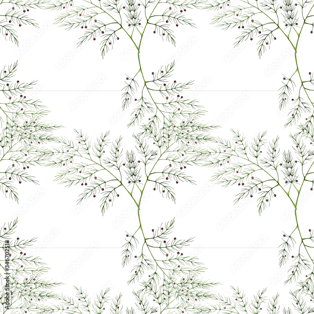 Summer watercolor seamless floral pattern with asparagus sprigs. Hand drown botanical illustration.On white background.Can be used for textiles, fabrics, clothes, wallpaper, wrapping paper,packaging. 