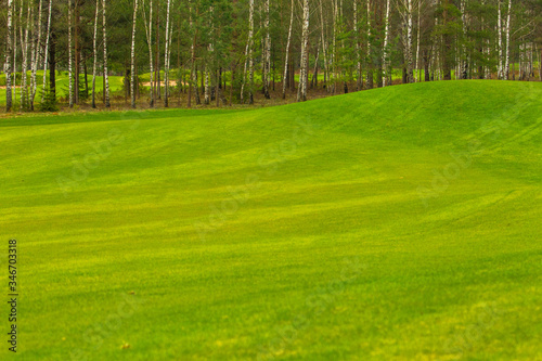 Panorama summer golf field nature