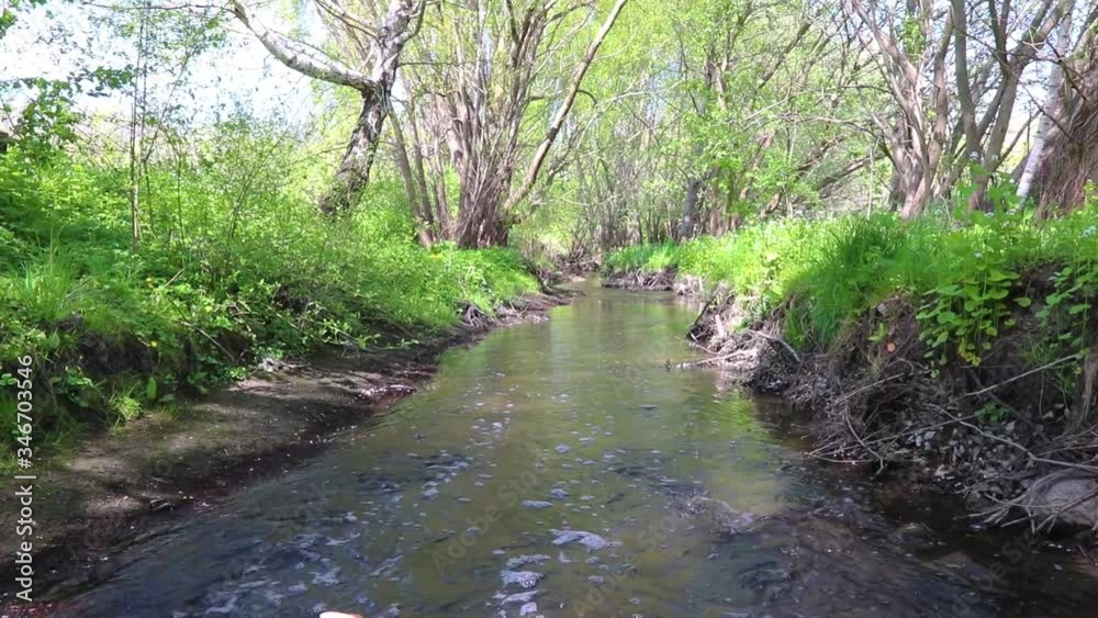 European brook, filmed close to water European brook, filmed close to water