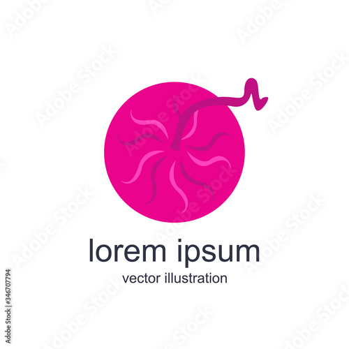 placenta vector icon