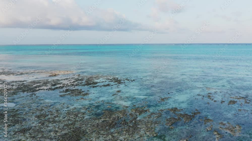Aerial drone shot flying forward from the coast into the cristal clear water of the ocean in Zanzibar, Tanzania. Aerial drone shot flying forward from the coast into the cristal clear water of the ocean in Zanzibar, Tanzania.