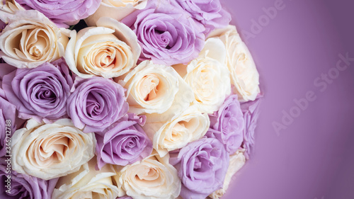 Bouquet of fresh amazing white and purple roses in craft paper on white background for postcard, cover, banner. Beautiful flowers as gift for Mother’s, Valentine’s Day, Birthday or Wedding. Copy space © Elena
