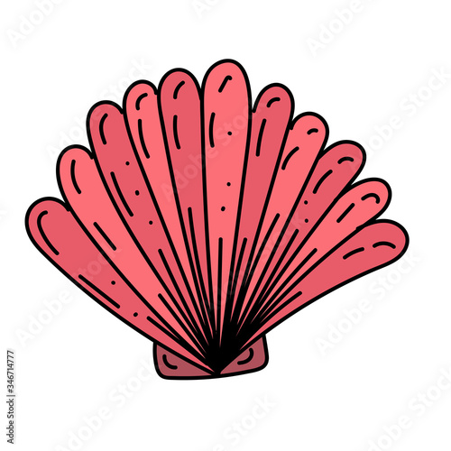color vector element  black and white drawing of a marine inhabitant  shell