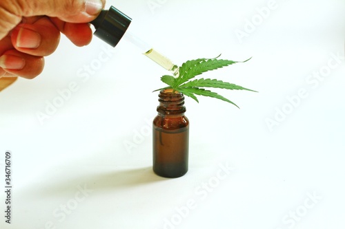 Hemp leaves, hemp oil extracted in bottles Place on a white background.