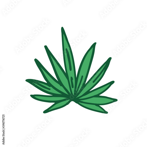 agave doodle icon
