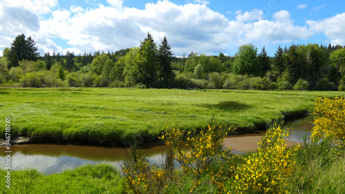 summer landscape with river