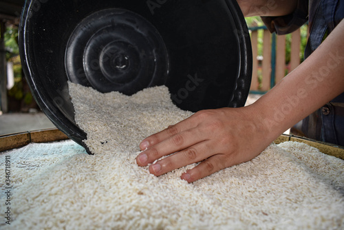 A poor Asian farmer collected rice in a container in the morning to eat when he was hungry and needed help from the world. Take pictures with close-up techniques. 