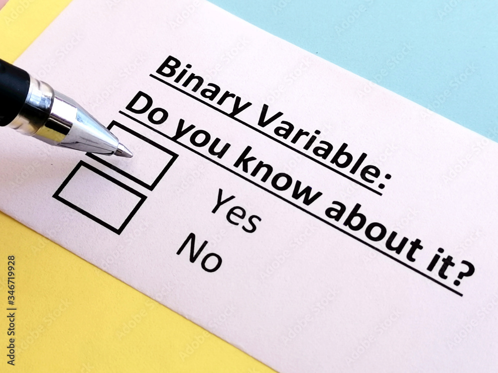 One person is answering quetion about binary variable. One person is answering quetion about binary variable.