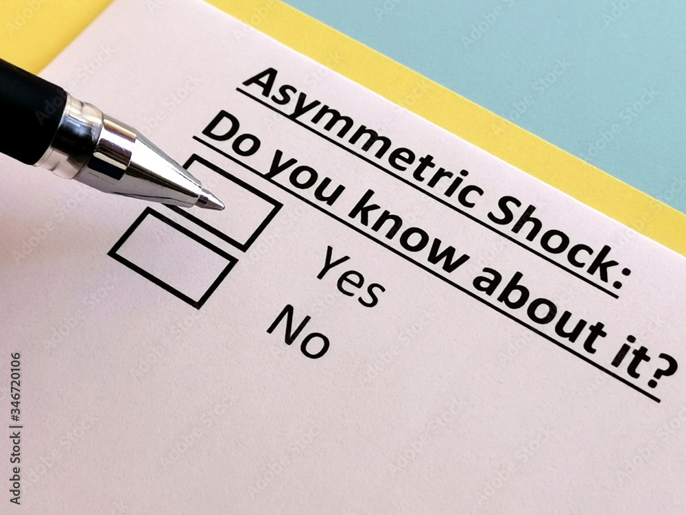 One person is answering quetion about asymmetric shock. One person is answering quetion about asymmetric shock.