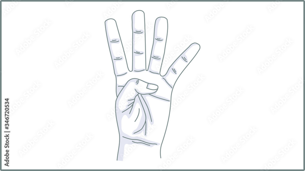 Fototapeta premium Vector Linear Fingers icon. Gesture Illustration. Counting Drawing. Forefinger, Middle Finger, Ring Finger, Little Finger. Four Fingers Up. 