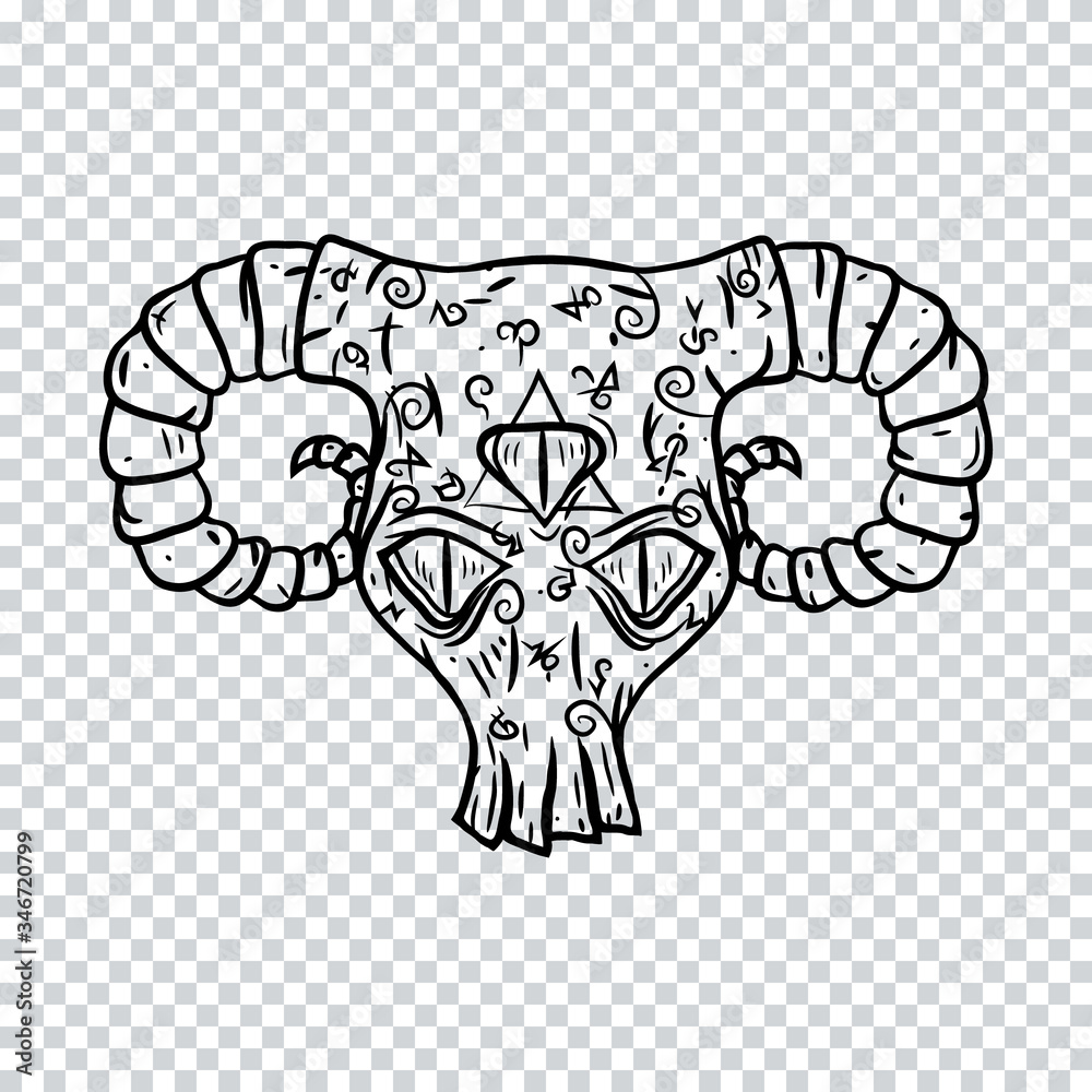 Skull isolated on a transparent background. Vector illustration. Skull isolated on a transparent background. Vector illustration.