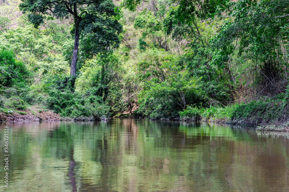 Calm river flowing gently through woodland landscape. Calm river flowing gently through woodland landscape.
