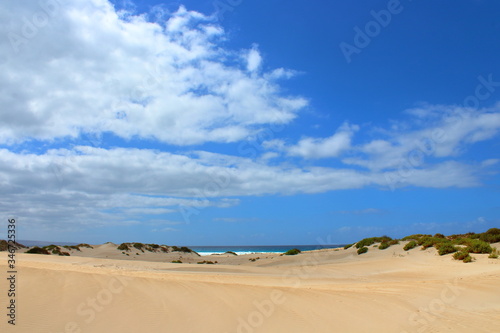 sand dunes on the beach in port lincoln  australia