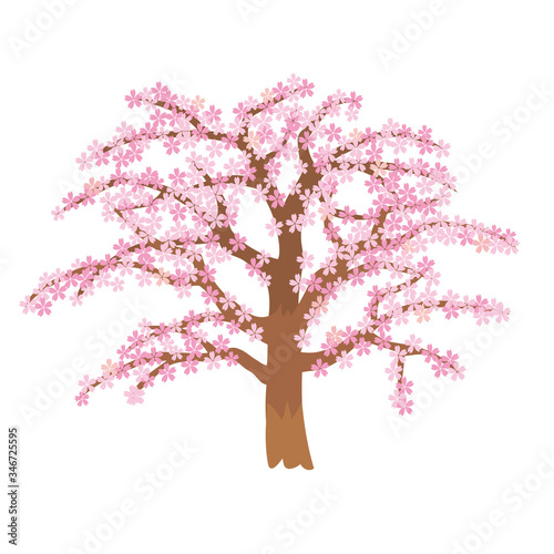 桜の木