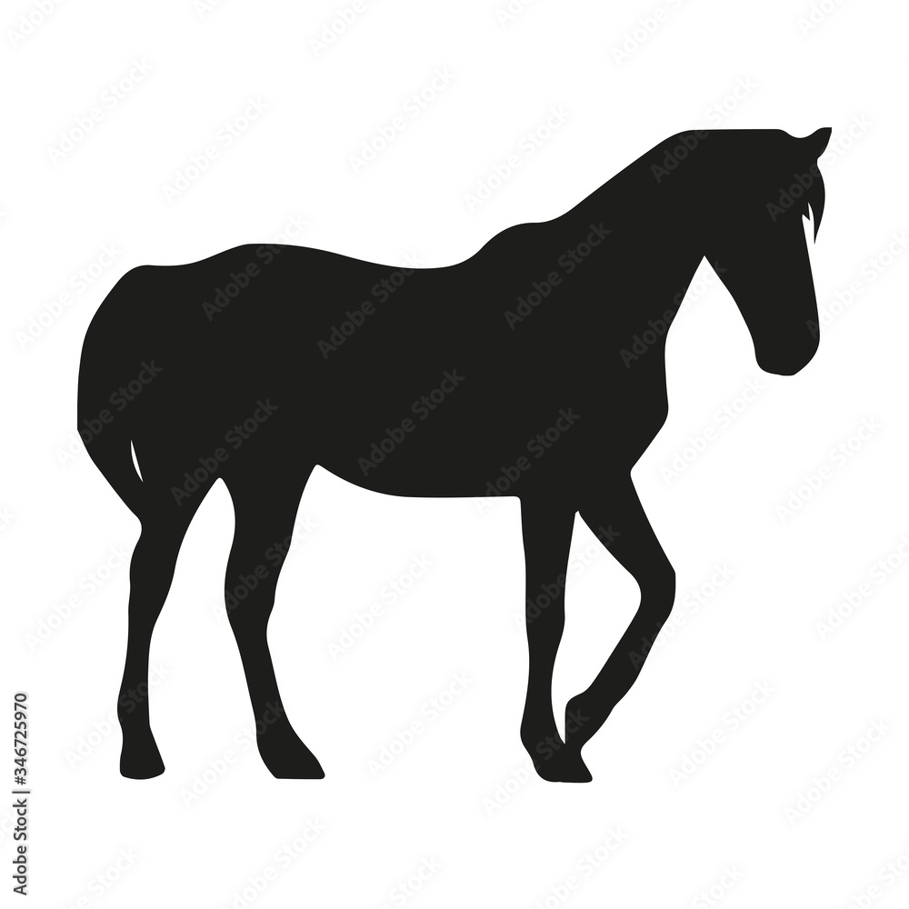 Horse Silhouette On White Background,