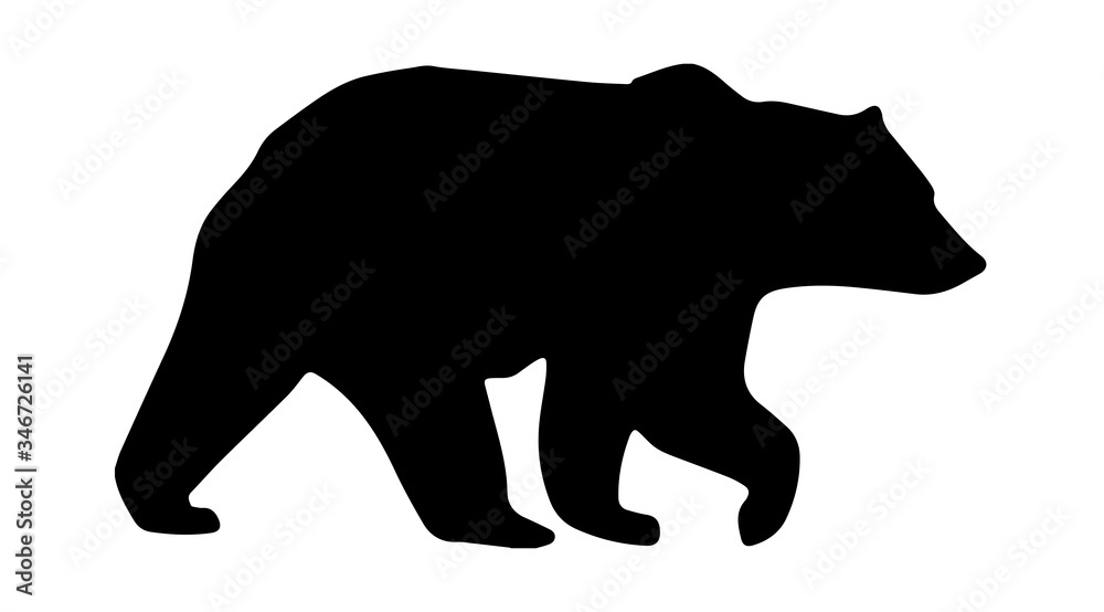 Fototapeta premium Bear Silhouette On White Background,