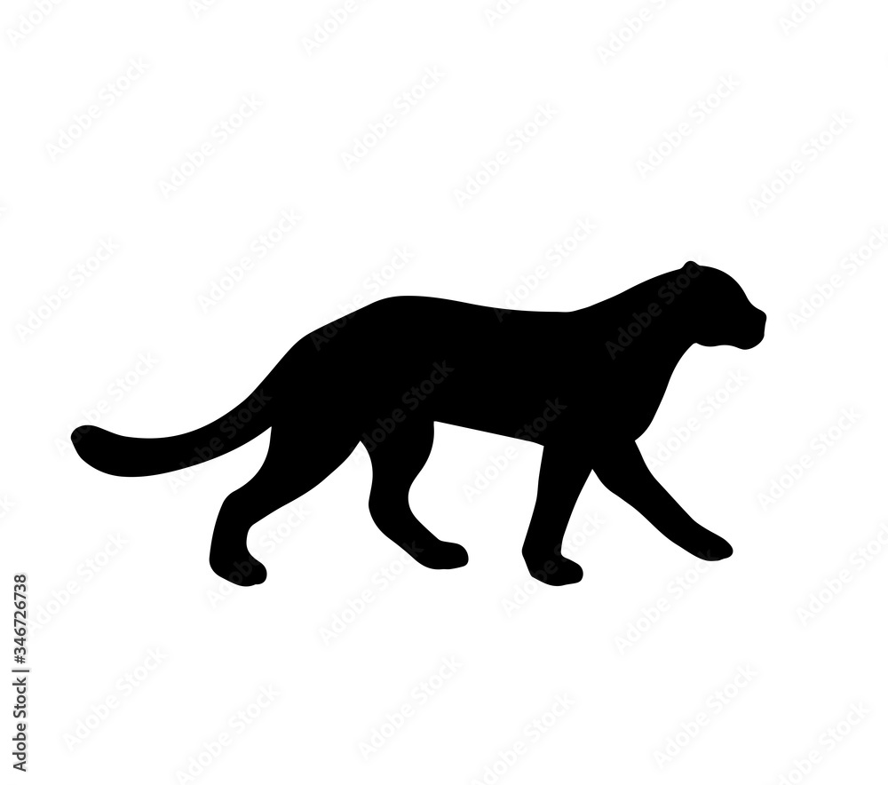 Silhouette of cheetah on white background