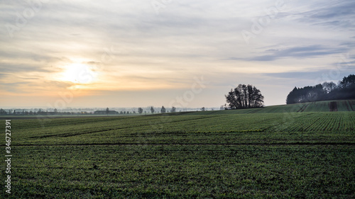 neblige Winterlandschaft in Mecklenburg mit der Sonne hinter dichten Wolken