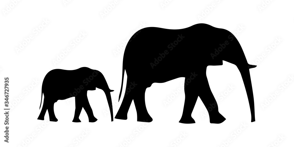 Silhouette of elephant on white background Silhouette of elephant on white background