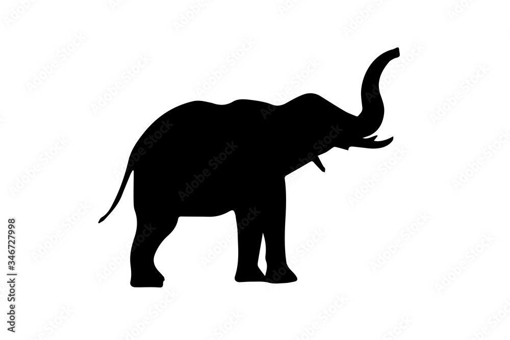 Silhouette of elephant on white background