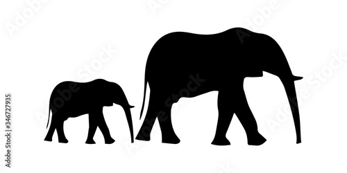 Canvas Print Silhouette of elephant on white background