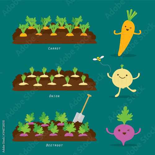 Set of Vegetable garden. Organic and healthy food Cartoon Vector illustration.