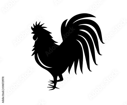 Silhouette of rooster on white background