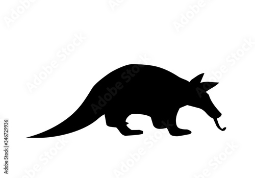 Silhouette of anteater on white background.