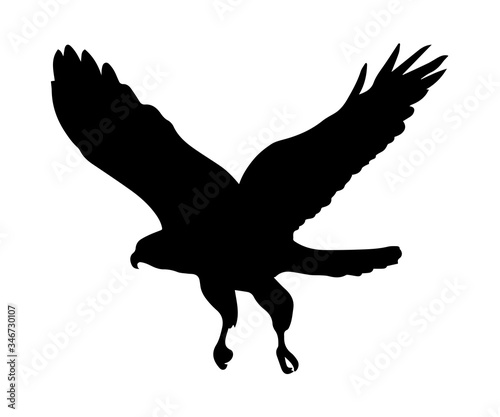 Obraz na płótnie Eagle silhouette on white background. w salonie