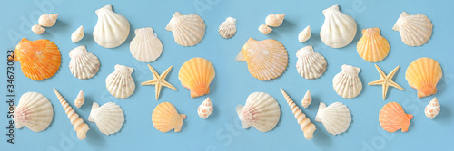 Shells on a blue background