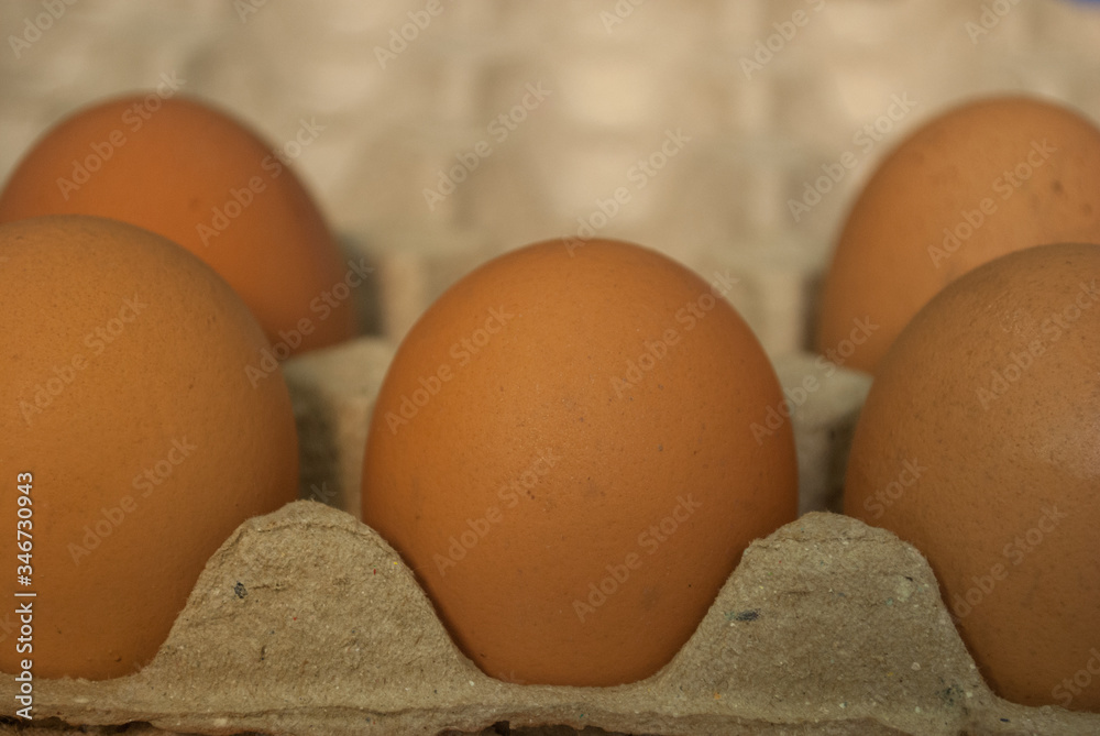 Chicken eggs in the tray Chicken eggs in the tray
