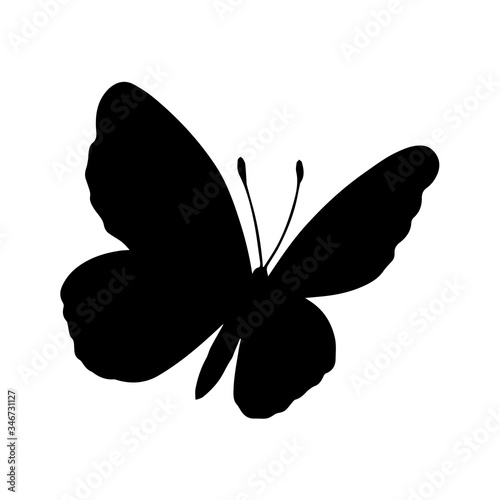 Silhouette of butterfly on white background