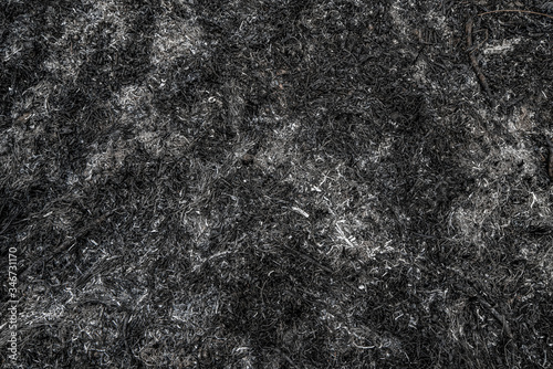 Texture burnt grass. Black background of scorched earth after spring fire.