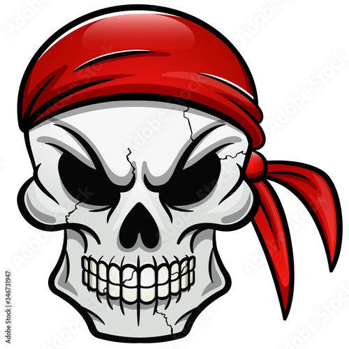 Vector pirate skull isolated design