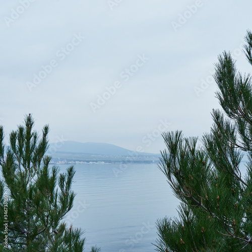 Image of pines on the shore of a sea bay.