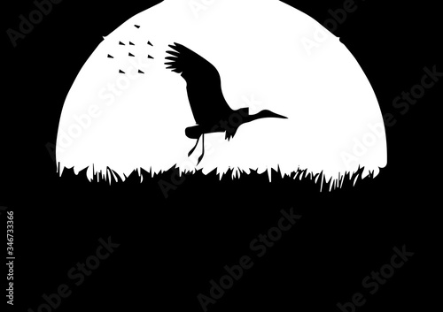 Silhouette of stork on black background photo