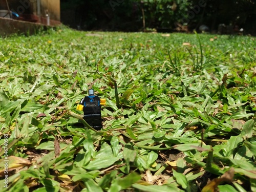 mini rob with garden